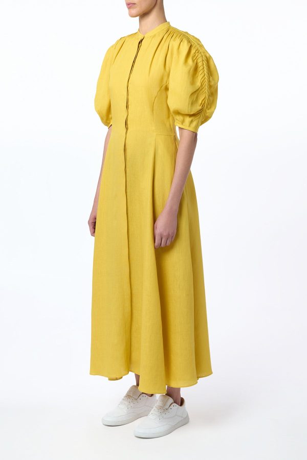 Arabella Shirtdress in Goldenrod Aloe Linen - Image 4