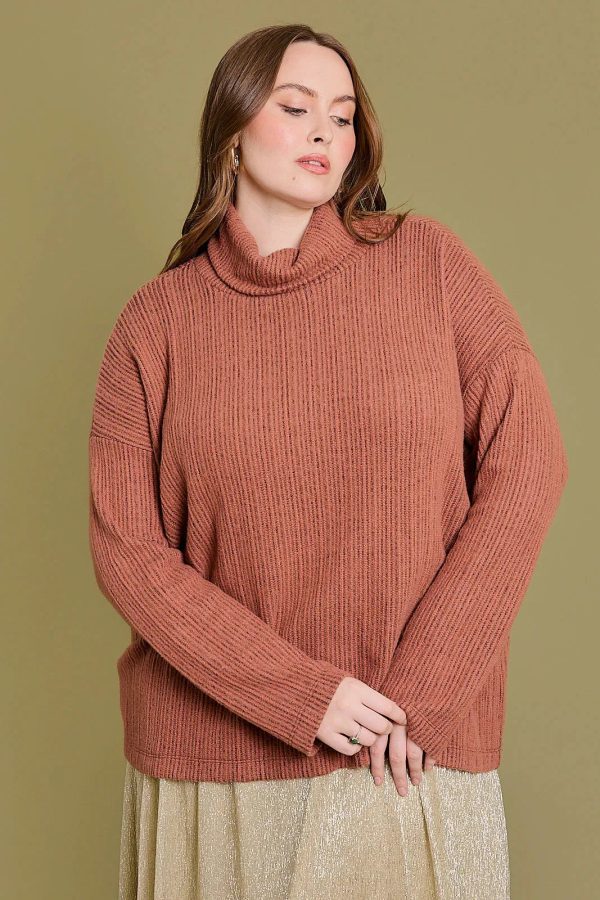 Plus Size Long Sleeve Brushed Turtle Neck Knit Top - Image 1