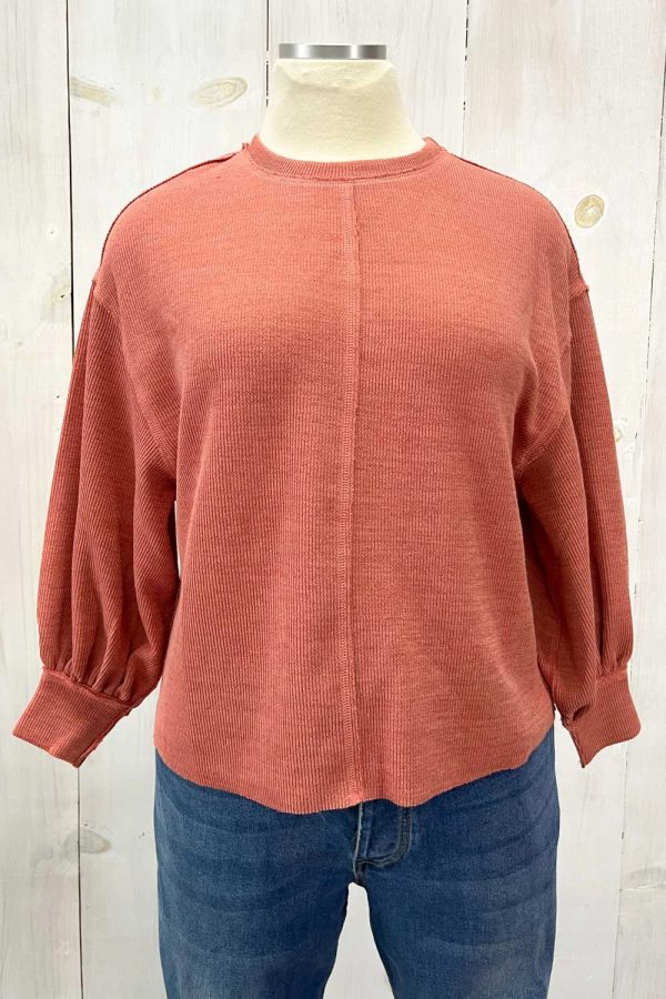 Plus Size Balloon Sleeve Crew Neck Relaxed Fit Boutique Top - Image 1